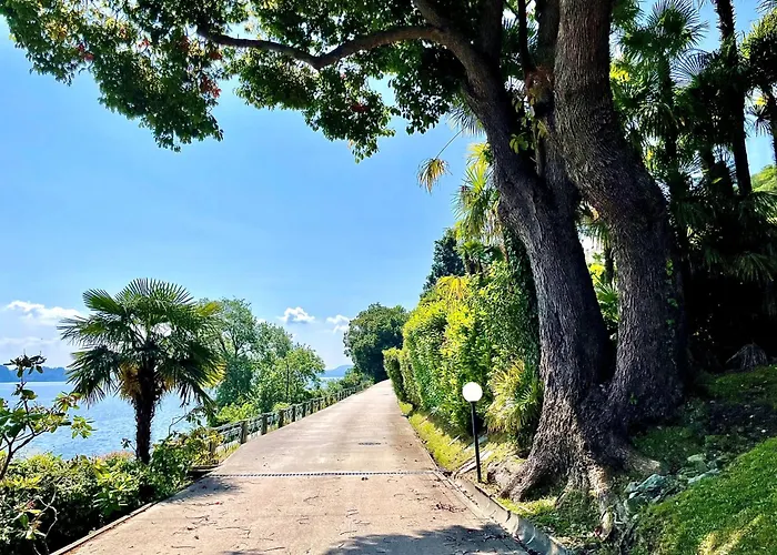 Elegant & Comfortable Modern With Swimming Pool *